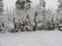 neve (54)
